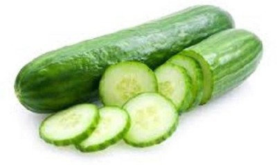 LYRS Cucumis Sativus Cucumber / Kheera Seeds Seed(170 per packet)