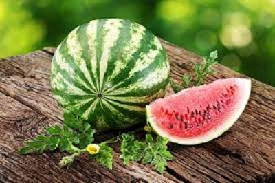 V Seed Crimson Sweet Watermelon Seeds- 15 Seed(15 per packet)