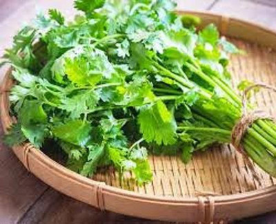 V Seed Coriander Seeds Seed(45 per packet)