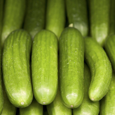 Corofitam Poinsett Cucumber / Kheera Seeds Seed(200 per packet)