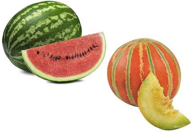 LYRS Muskmelon & Watermelon Combo Seeds- 300 Seed(300 per packet)