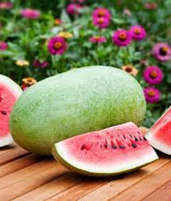 Sjeme Charleston Grey Watermelon Seeds- 55 Seed(55 per packet)