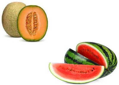 LYRS Hybrid Muskmelon & Watermelon Combo Seeds- 230 Seed(230 per packet)