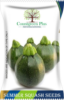 Countgreen Plus Squash (Chappan Kaddu) Vegetable Seeds Seed(20 per packet)