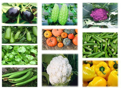 LYRS 10 Type Vegetable Seeds Combo Seeds- 70 Seed(70 per packet)