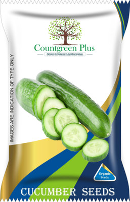 Countgreen Plus Cucumber Vegetable Seeds Seed(100 per packet)