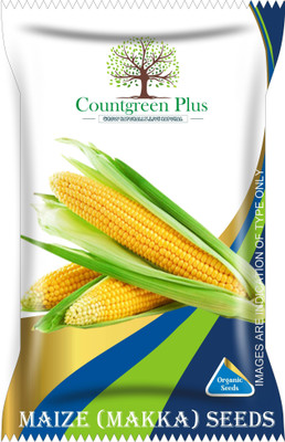 Countgreen Plus Maize (Makka/Bhutta) Seed(20 per packet)
