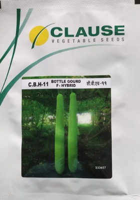 clause Bottle gourd, lauki seeds Seed(700 per packet)