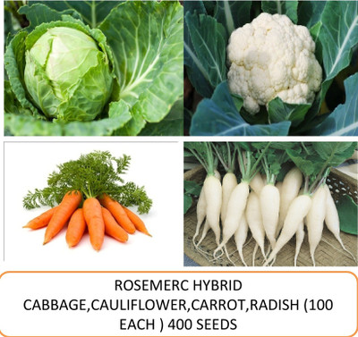 ROSEMERC HYBRID CABBAGE,CAULIFLOWER,CARROT,RADISH Seed(400 per packet)