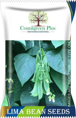 Countgreen Plus Lima Bean (Sem Phali) Vegetable Seeds Seed(40 per packet)
