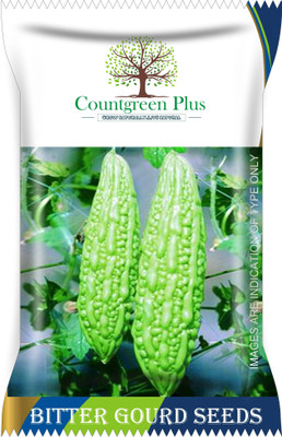 Countgreen Plus Bitter Gourd (Karela) Vegetable Seeds Seed(20 per packet)
