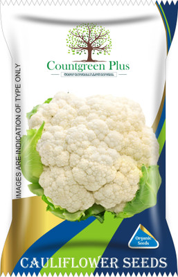 Countgreen Plus Cauliflower (Phool Gobhi) Seed(100 per packet)