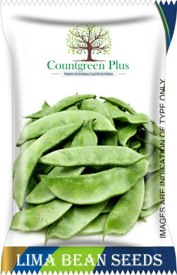Countgreen Plus Lima Beans (Sem Phali) Vegetable Seeds Seed(20 per packet)