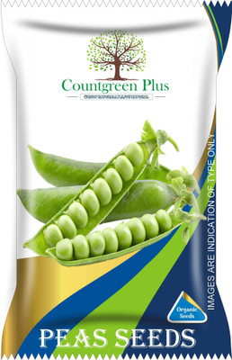 Countgreen Plus Peas (Matar) Vegetable Seeds Seed(20 per packet)