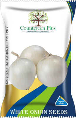 Countgreen Plus White Onion Vegetable Seeds Seed(200 per packet)