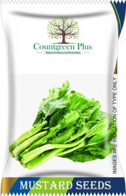 Countgreen Plus Mustard (Saag/Sarso Ka Saag) Vegetable Seeds Seed(100 per packet)