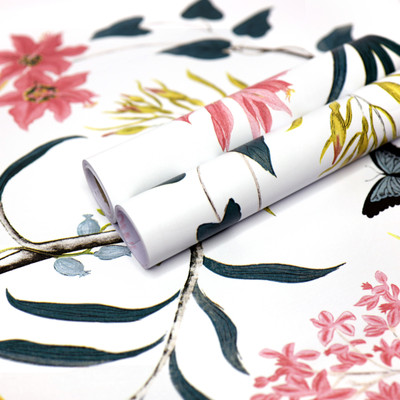 Wolpep 500 cm Rafflesia Self Adhesive Sticker(Pack of 1)