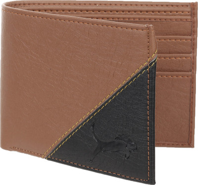 WILD EDGE Men Tan Artificial Leather Wallet(10 Card Slots)