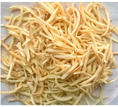 TAMRANSH Safed musli Seed(100 per packet)