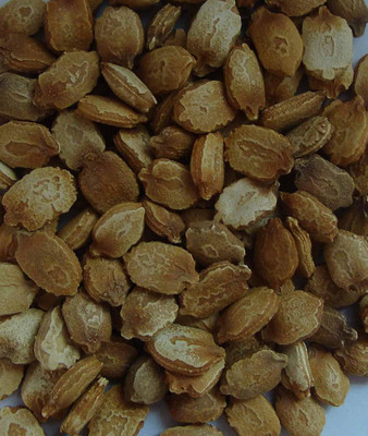 VibeX Bitter Gourd Seed(125 per packet)