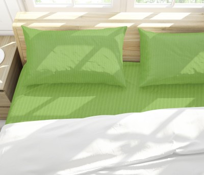 CODEExim 300 TC Cotton Double Striped Fitted (Elastic) Bedsheet(Pack of 1, Green)