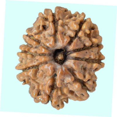 eGems Galore 9 Mukhi Rudraksh Silver Beads Wood Pendant