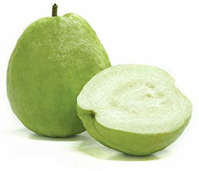KANAYA Red Guava/Amrud/Amrood Fruit Seed(70 per packet)