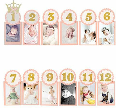 party assets 1-12 Month Photo Banner for Decoration Banner(5 ft, Pack of 12)