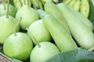 Corofitam Bottle gourd Seed(10 per packet)
