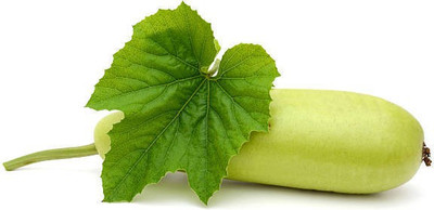 The Entacloo Bottle gourd Seed(25 per packet)