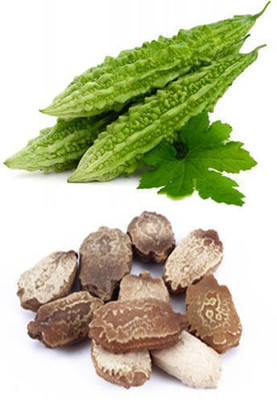 KOO Retails karela Seed(20 per packet)