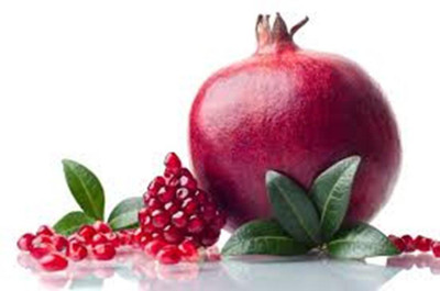 Crapulous All Climate Mega Combo Tree Seeds & Fruit Seeds- Non Hybrid- Real Survival Seeds. Annona reticulata(Custrad Apple) Punicagranatum(Pomegranate)Citrus X sinensis(Orange )Psidium guajava(Guava),Manilkara zapota(chiku) Seed(10 per packet) Crapulous All Climate Mega Combo Tree Seeds & Fruit Seeds- Non Hybrid- Real Survival Seeds. Annona reticulata(Custrad Apple) Punicagranatum(Pomegranate)Citrus X sinensis(Orange )Psidium guajava(Guava),Manilkara zapota(chiku) Seed(10 per packet)