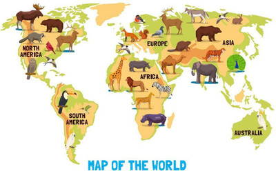WALLSTICK 91.44 cm WORLD MAP STICKER Self Adhesive Sticker(Pack of 1)