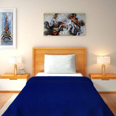 true valua Solid Single Fleece Blanket for  AC Room(Polyester, Blue)