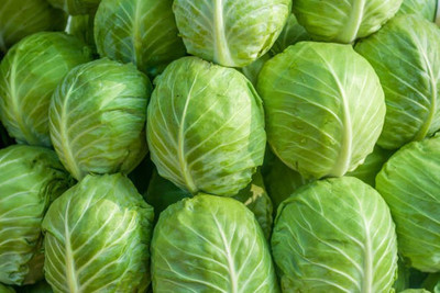 sporos Cabbage Seed(35 per packet)