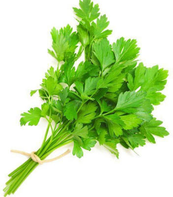 The Entacloo Desi Hara Dhaniya Coriander / Dhaniya Seed- 20 Seed(20 per packet)