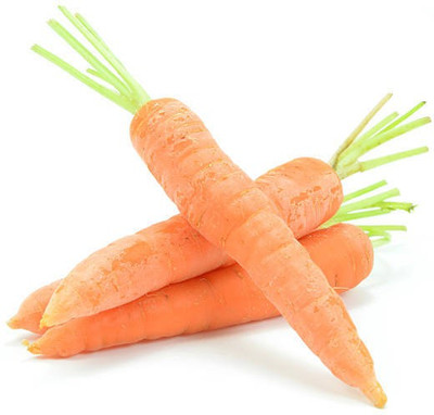Corofitam Carrot Seed(15 per packet)