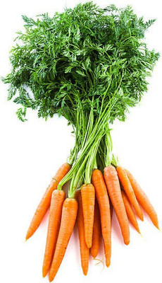 Corofitam Carrot Seed(25 per packet)