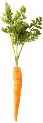 Corofitam Carrot Seed(20 per packet)