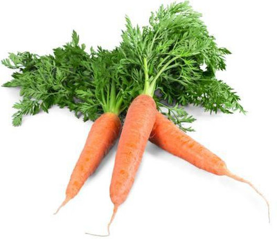 Corofitam Carrot Seed(15 per packet)
