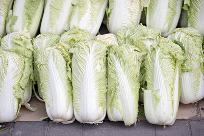 sporos Cabbage Seed(55 per packet)