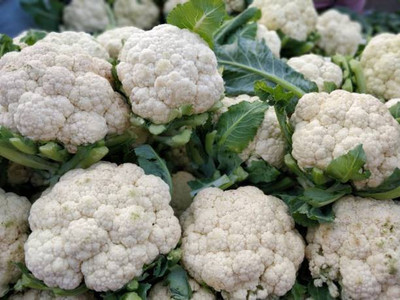 Corofitam Cauliflower Seed(25 per packet)