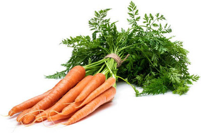 Corofitam Carrot Seed(20 per packet)