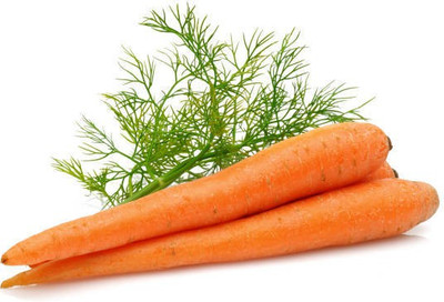 Corofitam Carrot Seed(10 per packet)