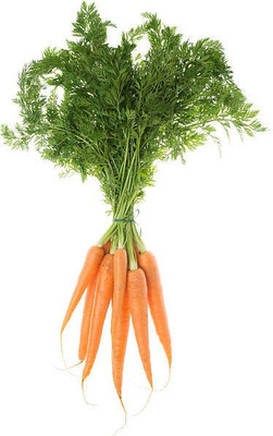 Corofitam Carrot Seed(35 per packet)