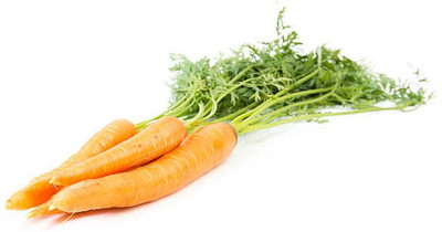 Platone Carrot Seed(25 per packet)