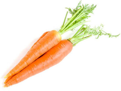 Corofitam Carrot Seed(40 per packet)