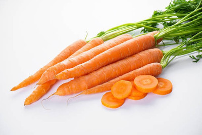 Platone Carrot Seed(20 per packet)