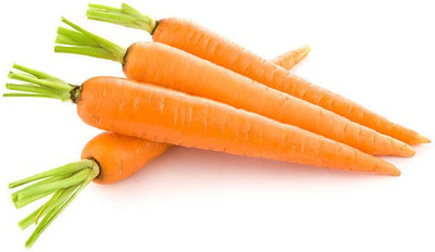 Corofitam Carrot Seed(40 per packet)