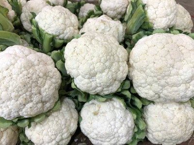 Corofitam Cauliflower Seed(35 per packet)